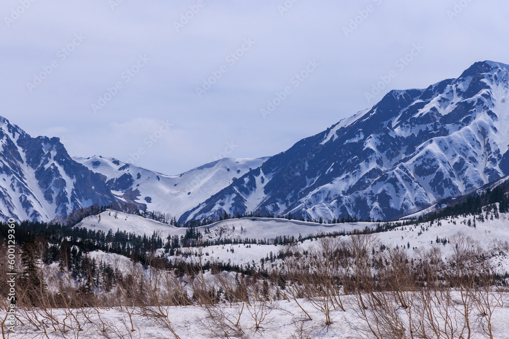 春の栂池高原の雪山と雪原