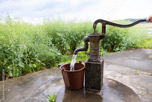 People filling bucket with water from Hand pump in hand-dig well in shallow aquifers in villages in countryside in China. Rapeseed seed pods, Stems, or yellow flowers in background photo