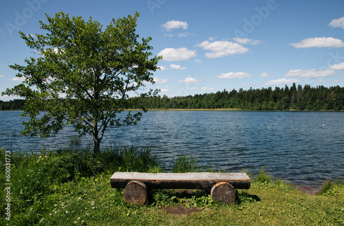 wooden bench near the lake
