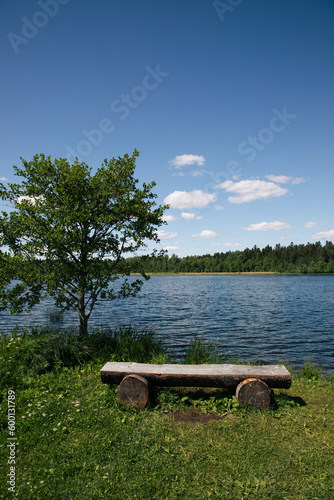 wooden bench near the lake