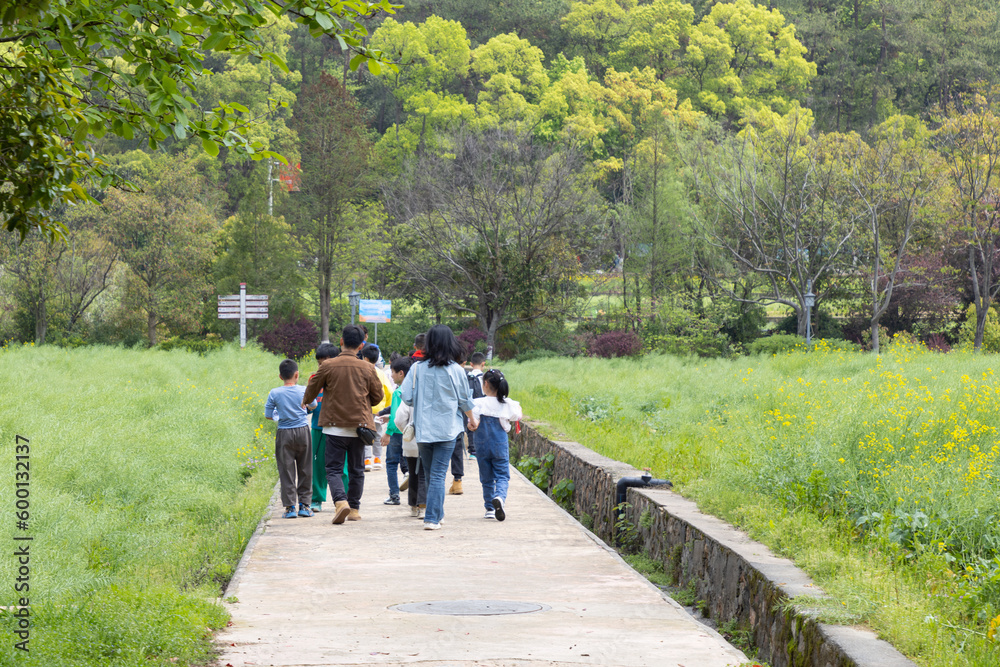 school male and female teachers and primary boy and girl walk on countryside concrete road among rapeseed farm field, Shangsha, Hunan, China school male and female teachers and primary boy and girl walk on countryside concrete road among rapeseed farm field, Shangsha, Hunan, China