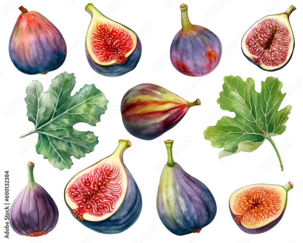 Watercolor painting of a Fig fruit set isolated on white background. Cut out PNG illustration on transparent background. AI Generative. - obrazy, fototapety, plakaty 