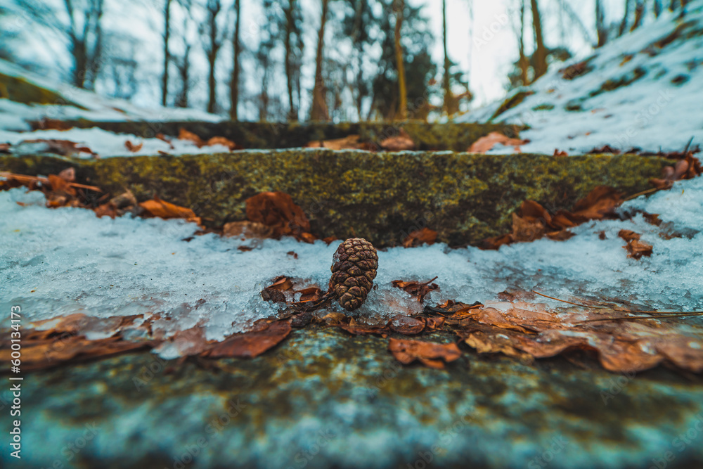 Fototapeta premium stairs in the park at winter