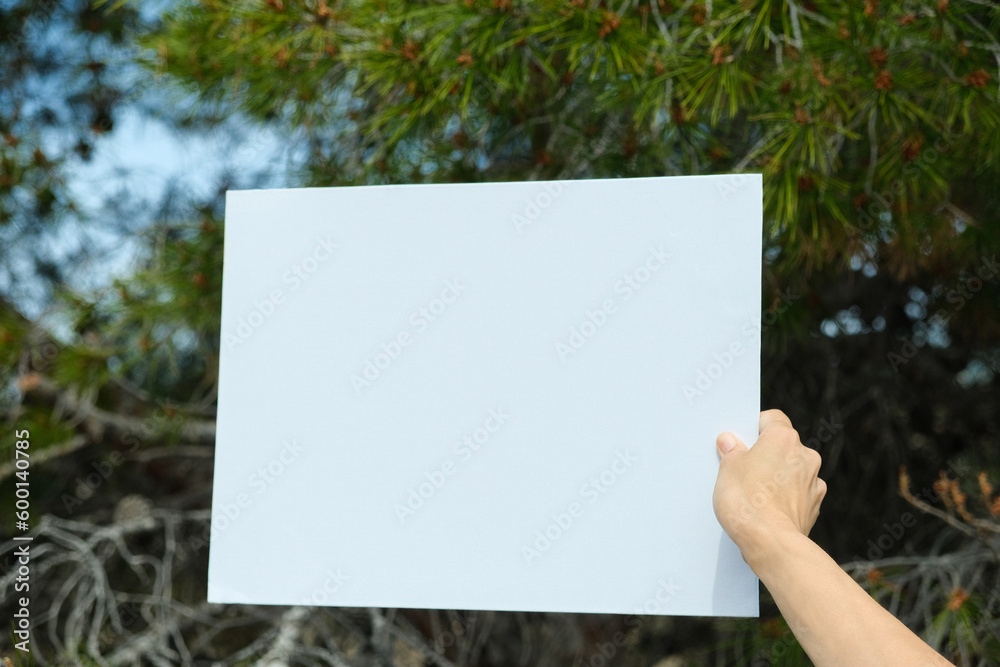Woman hand holding white blank poster mockup over green pine conifer tree background. Mock up template in nature outdoors Woman hand holding white blank poster mockup over green pine conifer tree background. Mock up template in nature outdoors