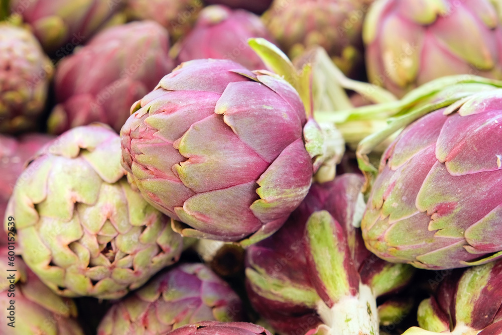 Obraz premium Fresh purple artichoke close up. Organic healthy food.