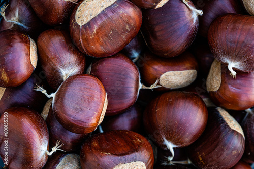 Closeup of brown chestnuts in autumn photo