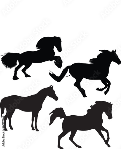 Horses silhouette set vector illustration  Collection of Horse silhouette