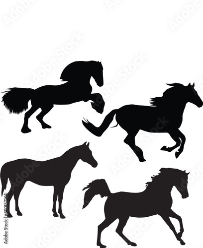 Horses silhouette set vector illustration, Collection of Horse silhouette