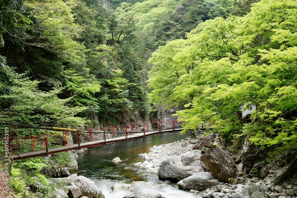 三段峡の黒淵にかかる橋