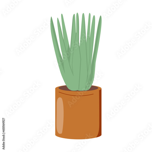 Home plant in the minimalistic pot. Home decor and gardening concept. Cute isolated vector illustration.
