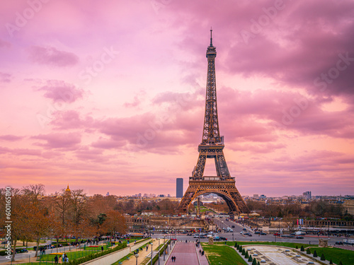 The Eiffel Tower over the Jardins du Trocadéro, or Trocadéro Gardens  in Paris, France, twilight moody purple and pink toned photo © Naya Na