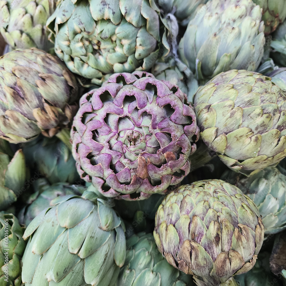 Obraz premium variety of a species of thistle cultivated as food. Background from artichokes.