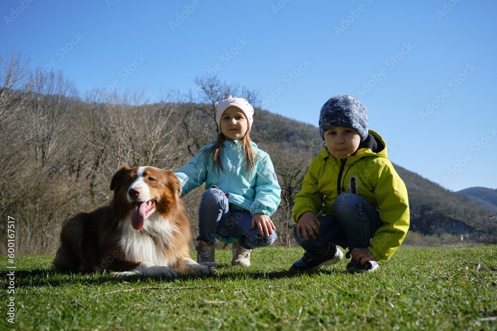Children and pets concept. Caucasian girl and boy sister and brother in park with dog. Children smiling, sitting in clearing and stroking brown Australian Shepherd. Aussie family friendly breed.