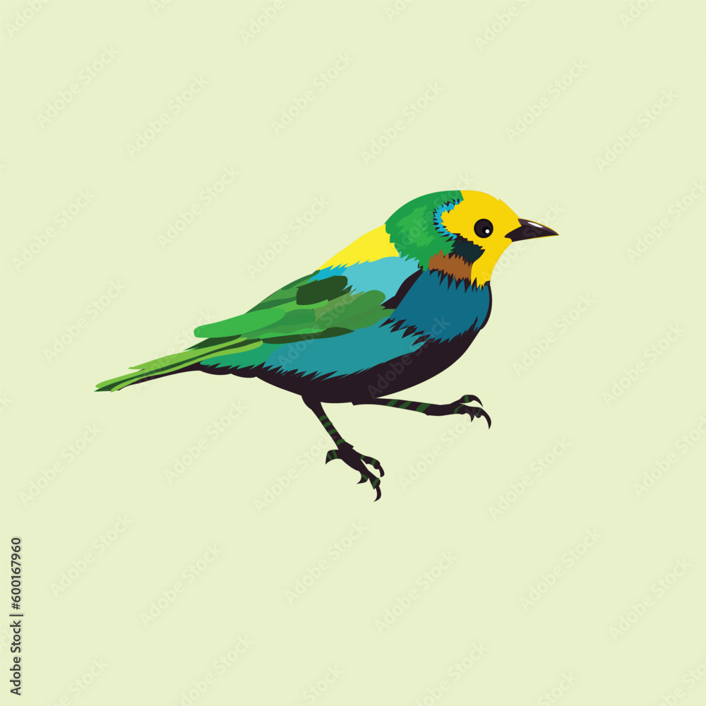 Cute multicolor small bird illustration