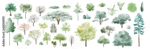 trees set watercolor illustration, hand drawn for architecture or decorative