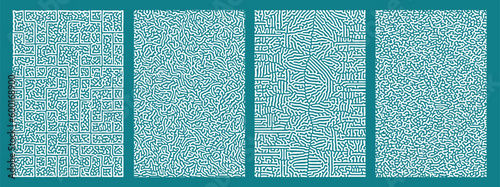 Abstract white pattern four styles of reaction biology diffusion turing on light blue background poster cover design. Vector illustration.  