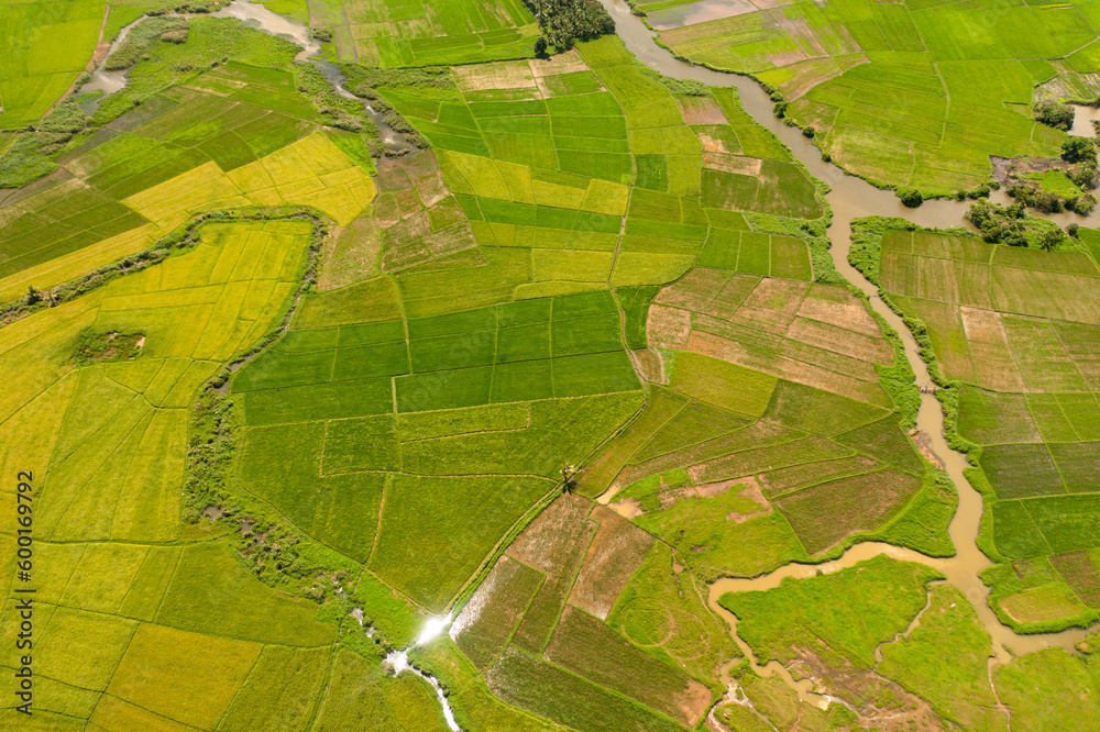 Aerial view of Agricultural lands and rice fields in rural areas. Philippines.