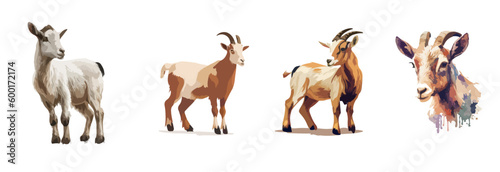 animal goat and sheep sticker Print