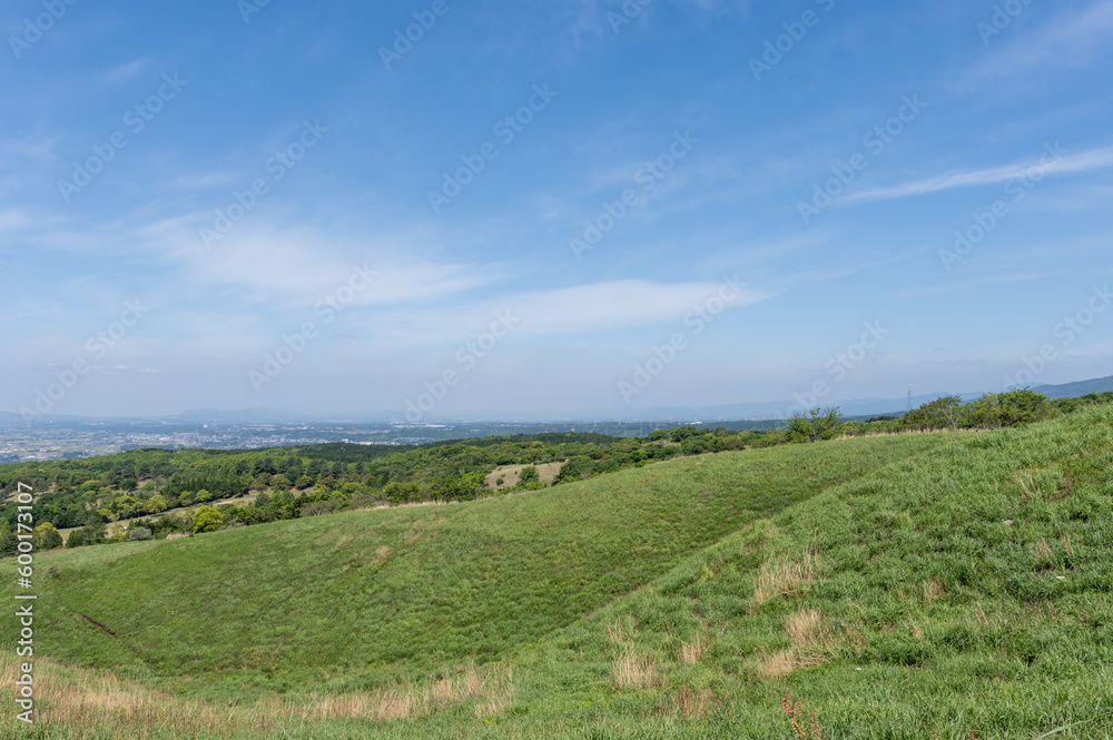 Naklejka premium のどかな平原の景色