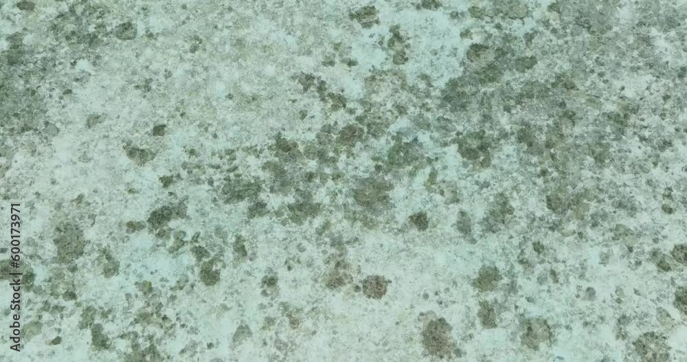 Aerial view of sea water surface in lagoon with coral reef. Borneo, Malaysia.