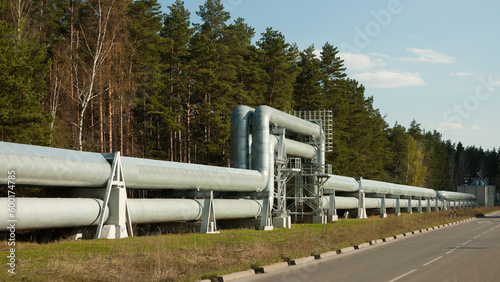 pipeline along the highway against the backdrop of the forest and blue sky