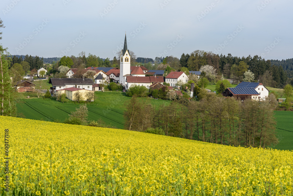 Dorf mit Kirche, mit Rapsfeld im Vordergrund