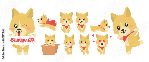 Summer Dog Character Set Vector Illustrations. Summer Dog Character Collections.