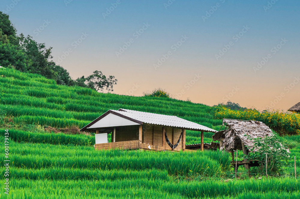 Bongpieng rice terrace on the mountain at chiengmai, The most beautiful rice terraces in Thailand