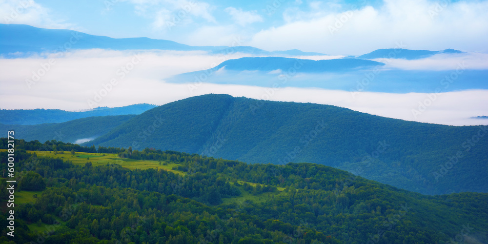 mountain valley in morning mist view from above. ukrainian carpathian countryside mountain valley in morning mist view from above. ukrainian carpathian countryside