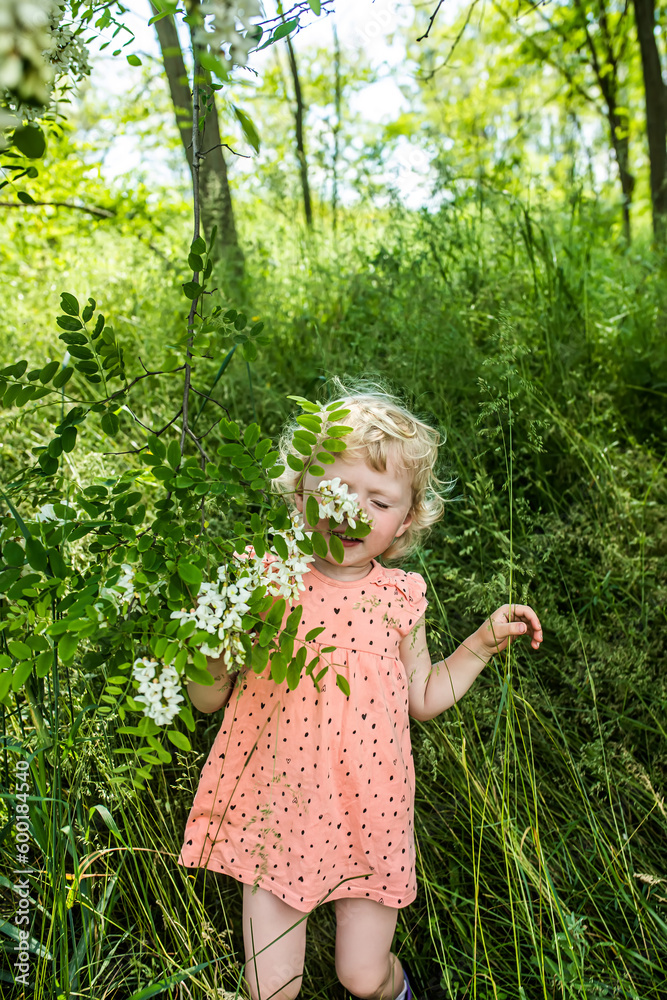 A child with allergies sniffs acacia flowers in the park during the flowering period.