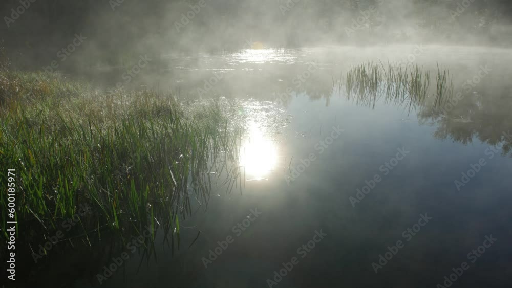 Misty lake in morning sun Misty lake in morning sun