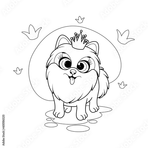 Coloring page. Cartoon and funny dog, little princess, pomeranian spitz with crown