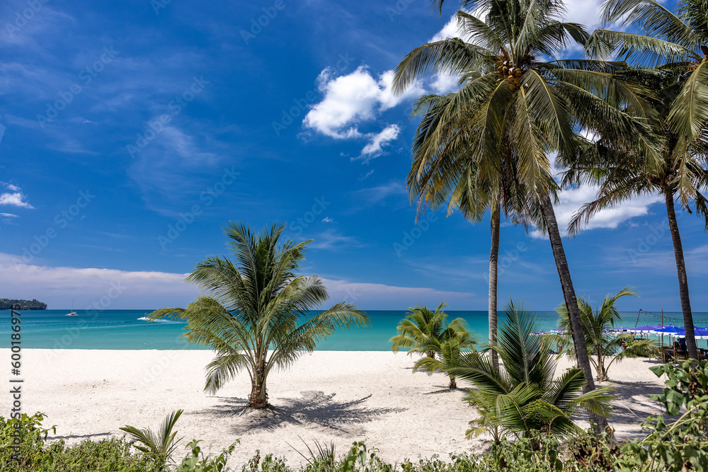 Coconut trees, palm trees, a dream beach, a turquoise sea, fine sand, sun, happiness on vacation.