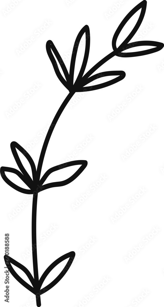 Fototapeta premium Flower drawing