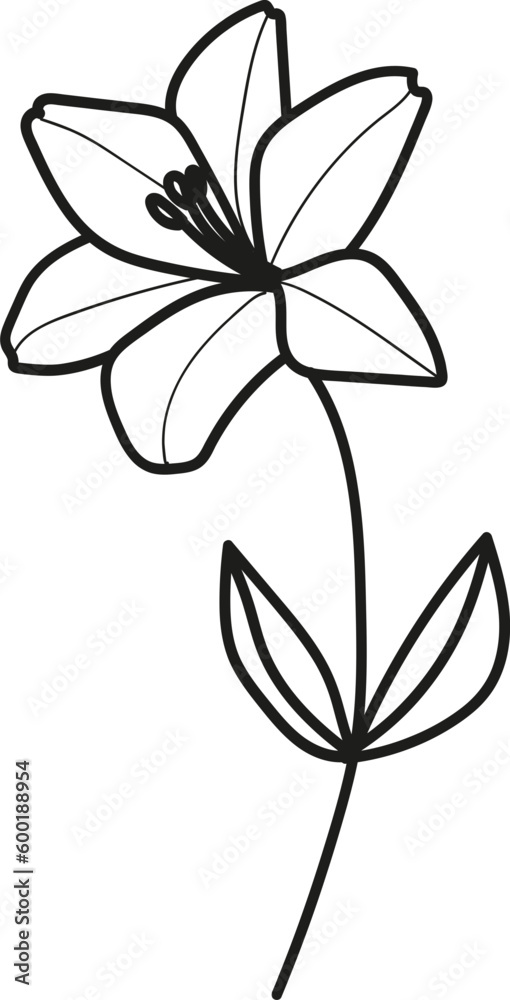 Flower Sketch Flower Sketch