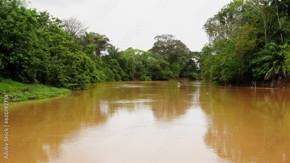 A brown river in Costa Rica with trees and jungle on the bank. A brown river in Costa Rica with trees and jungle on the bank.