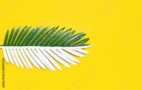 tropical leaf,leaves collection for design with pastel and mix spotted color.creative and minimal art nature background.decoration pattern