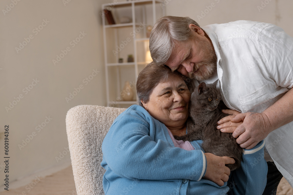elderly people take care of cats and enjoy them at home elderly people take care of cats and enjoy them at home