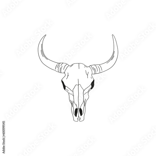 Cow bull scull. Western design, wild west element. Linear vector illustration isolated on white.