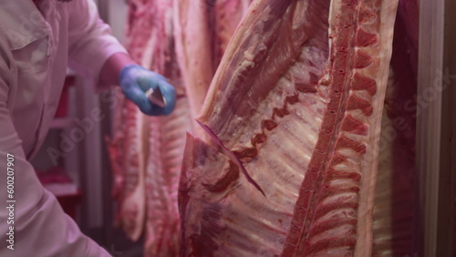 Bild auf Leinwand Industrial processing of meat