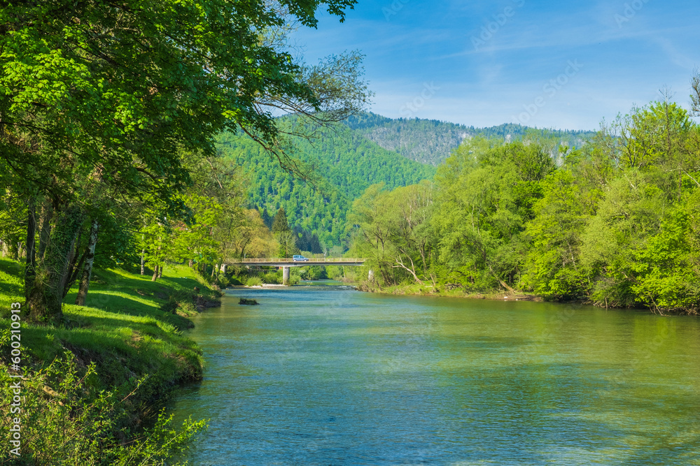 Canyon of Kupa river in spring, Gorski kotar, Croatia Canyon of Kupa river in spring, Gorski kotar, Croatia