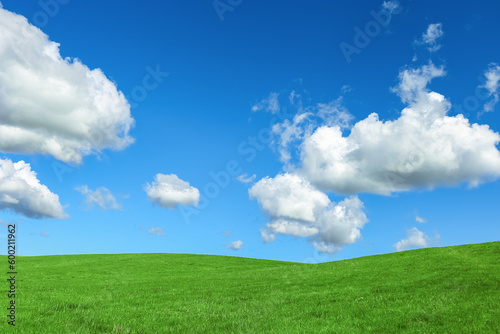 Green grass and blue sky with white fluffy clouds  beauty nature background. Perfect summer greenery field  hill  grassland. Nature environment landscape  lush green grass meadow  blue sky