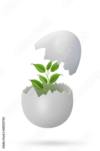 a green sprout in an eggshell, a symbol of a new fresh idea 3D PNG illustration