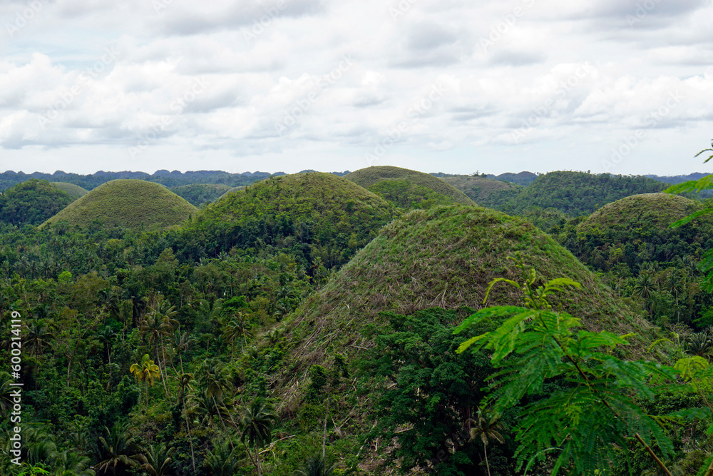 famous chocolate hills on bohol island on the philippines