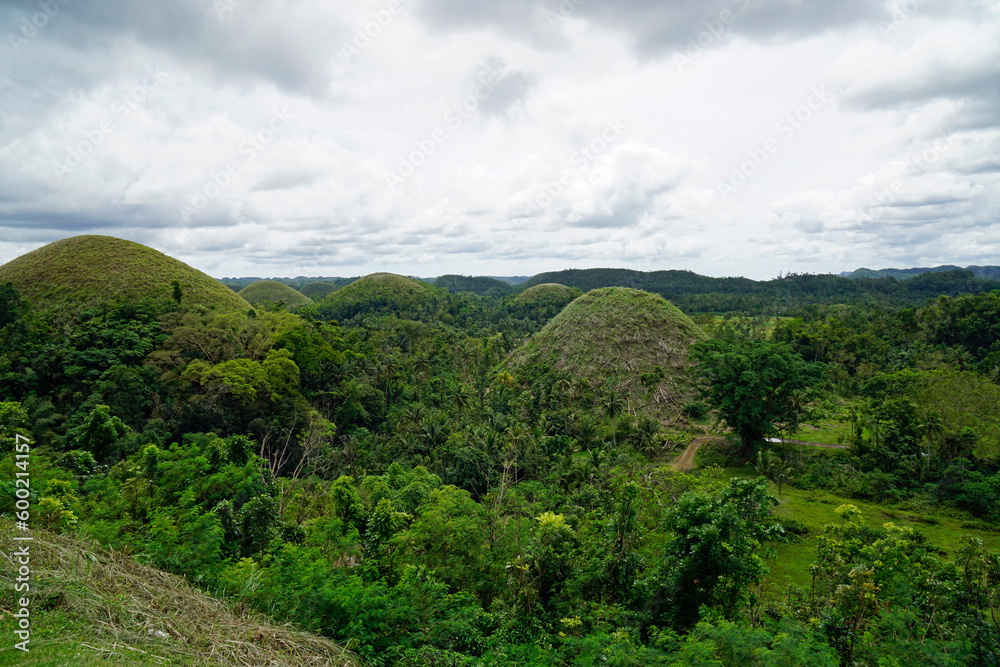 famous chocolate hills on bohol island on the philippines