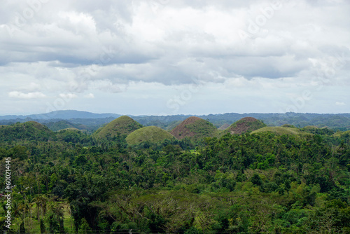 famous chocolate hills on bohol island on the philippines