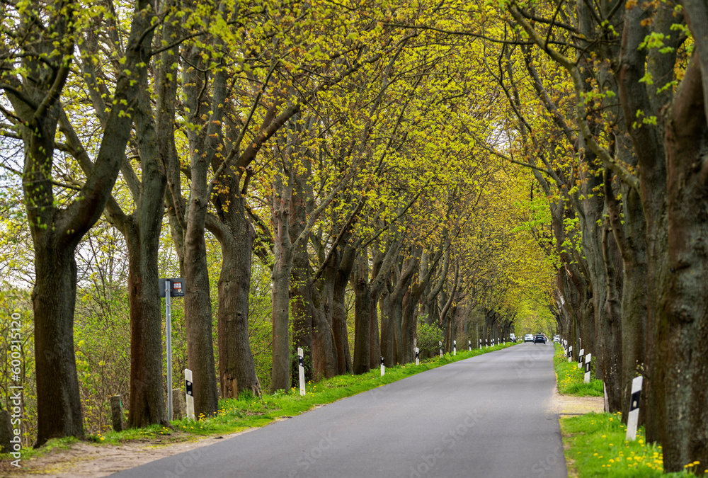 Landstraße im Norden von Berlin, Berlin, Deutschland