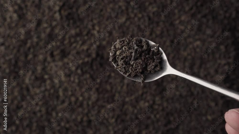 A teaspoon scooping up black fanning or broken loose leaf tea and being examined in detail. Close up, top view