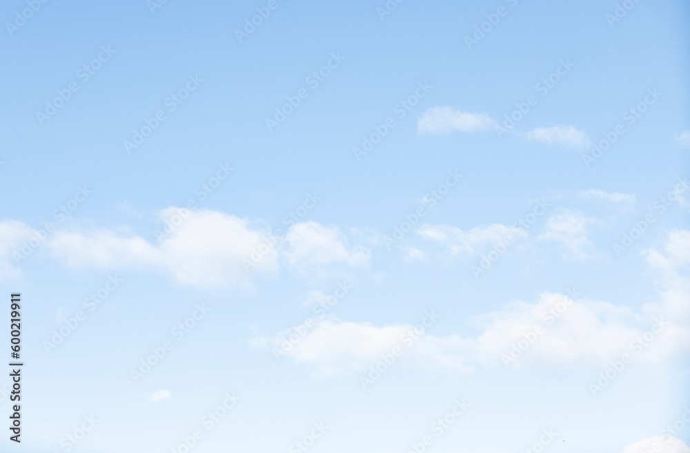 Fototapeta premium spring blue sky