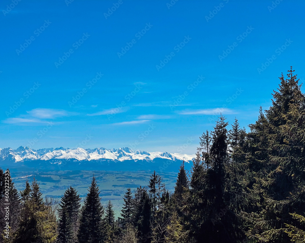 View of the Tatras from the mountain